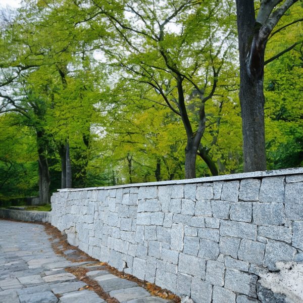 Viser en mur laget av ROCKS rustikk steinpanel med skog i bakgrunn.